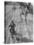 Little Girl Riding Her Tricycle, Leading Francis the Mule-Allan Grant-Stretched Canvas