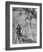 Little Girl Riding Her Tricycle, Leading Francis the Mule-Allan Grant-Framed Photographic Print