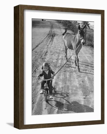 Little Girl Riding Her Tricycle, Leading Francis the Mule-Allan Grant-Framed Photographic Print