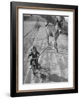 Little Girl Riding Her Tricycle, Leading Francis the Mule-Allan Grant-Framed Photographic Print