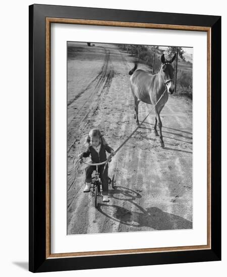 Little Girl Riding Her Tricycle, Leading Francis the Mule-Allan Grant-Framed Photographic Print