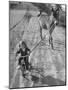Little Girl Riding Her Tricycle, Leading Francis the Mule-Allan Grant-Mounted Photographic Print