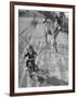 Little Girl Riding Her Tricycle, Leading Francis the Mule-Allan Grant-Framed Photographic Print