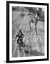 Little Girl Riding Her Tricycle, Leading Francis the Mule-Allan Grant-Framed Photographic Print