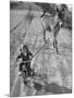 Little Girl Riding Her Tricycle, Leading Francis the Mule-Allan Grant-Mounted Photographic Print