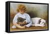 Little Girl Sits with a White Bulldog and Cuddles a Puppy-null-Framed Stretched Canvas