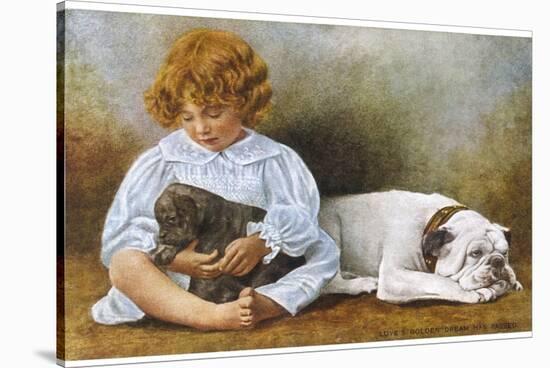 Little Girl Sits with a White Bulldog and Cuddles a Puppy-null-Stretched Canvas