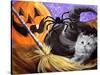 Little Gray Halloween Kitten-sylvia pimental-Stretched Canvas