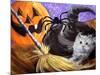 Little Gray Halloween Kitten-sylvia pimental-Mounted Art Print