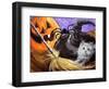 Little Gray Halloween Kitten-sylvia pimental-Framed Art Print