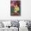 Little Harem Girl with Bird of Paradise-null-Stretched Canvas displayed on a wall