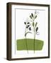 Little Herb I-Asia Jensen-Framed Art Print