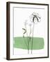 Little Herb II-Asia Jensen-Framed Art Print