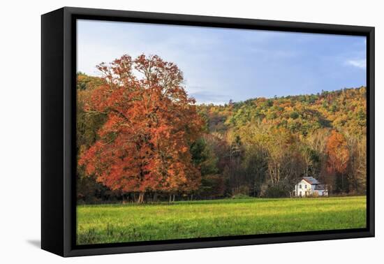 Little House In The Fall-Galloimages Online-Framed Stretched Canvas