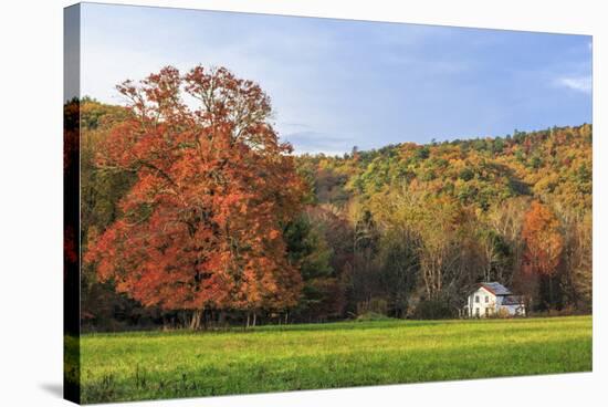 Little House In The Fall-Galloimages Online-Stretched Canvas