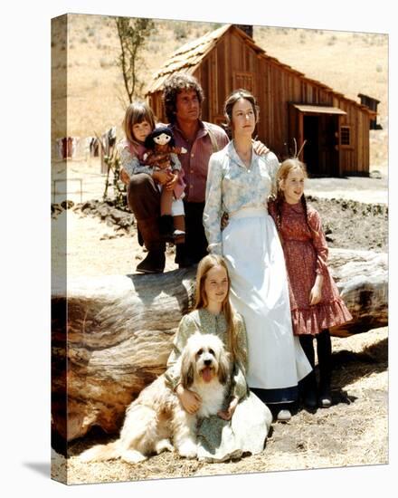 Little House on the Prairie-null-Stretched Canvas