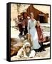 Little House on the Prairie-null-Framed Stretched Canvas