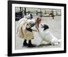 Little House on the Prairie-null-Framed Photo