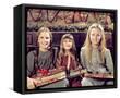 Framed Canvas
