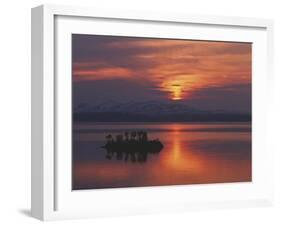 Little Island Sunset-Peter Lilja-Framed Giclee Print