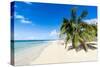 Little Island with a White Sand Beach in Ha'Apai Islands, Tonga, South Pacific-Michael Runkel-Stretched Canvas