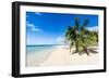 Little Island with a White Sand Beach in Ha'Apai Islands, Tonga, South Pacific-Michael Runkel-Framed Photographic Print