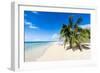 Little Island with a White Sand Beach in Ha'Apai Islands, Tonga, South Pacific-Michael Runkel-Framed Photographic Print