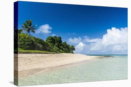 Little Island with a White Sand Beach in Haapai, Haapai Islands, Tonga, South Pacific, Pacific-Michael Runkel-Stretched Canvas