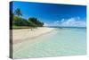 Little Island with a White Sand Beach in Haapai, Haapai Islands, Tonga, South Pacific, Pacific-Michael Runkel-Stretched Canvas