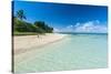 Little Island with a White Sand Beach in Haapai, Haapai Islands, Tonga, South Pacific, Pacific-Michael Runkel-Stretched Canvas