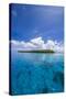 Little Islet in the Ant Atoll, Pohnpei, Micronesia, Pacific-Michael Runkel-Stretched Canvas