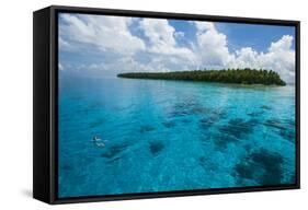 Little Islet in the Ant Atoll, Pohnpei, Micronesia, Pacific-Michael Runkel-Framed Stretched Canvas