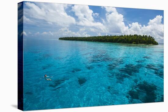 Little Islet in the Ant Atoll, Pohnpei, Micronesia, Pacific-Michael Runkel-Stretched Canvas