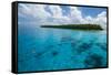 Little Islet in the Ant Atoll, Pohnpei, Micronesia, Pacific-Michael Runkel-Framed Stretched Canvas