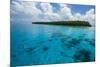 Little Islet in the Ant Atoll, Pohnpei, Micronesia, Pacific-Michael Runkel-Mounted Photographic Print