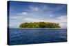 Little Islet in the Ant Atoll, Pohnpei, Micronesia, Pacific-Michael Runkel-Stretched Canvas