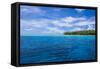 Little Islet in the Ant Atoll, Pohnpei, Micronesia, Pacific-Michael Runkel-Framed Stretched Canvas