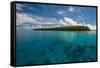 Little Islet in the Ant Atoll, Pohnpei, Micronesia, Pacific-Michael Runkel-Framed Stretched Canvas