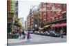 Little Italy, Manhattan, New York City, United States of America, North America-Fraser Hall-Stretched Canvas