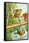 Little John and Robin Hood-null-Framed Stretched Canvas