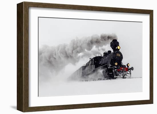 Little-Jumbo-Harriaho-Framed Art Print