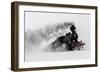 Little-Jumbo-Harriaho-Framed Art Print