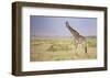 Little Lady-Mark Bridger-Framed Art Print