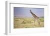 Little Lady-Mark Bridger-Framed Art Print