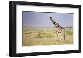 Little Lady-Mark Bridger-Framed Giclee Print