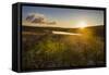 Little Lake at Sunset, Nyika National Park, Malawi, Africa-Michael Runkel-Framed Stretched Canvas