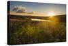 Little Lake at Sunset, Nyika National Park, Malawi, Africa-Michael Runkel-Stretched Canvas