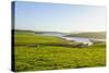 Little Lake in Green Fields, the Catlins, South Island, New Zealand, Pacific-Michael-Stretched Canvas