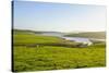 Little Lake in Green Fields, the Catlins, South Island, New Zealand, Pacific-Michael-Stretched Canvas