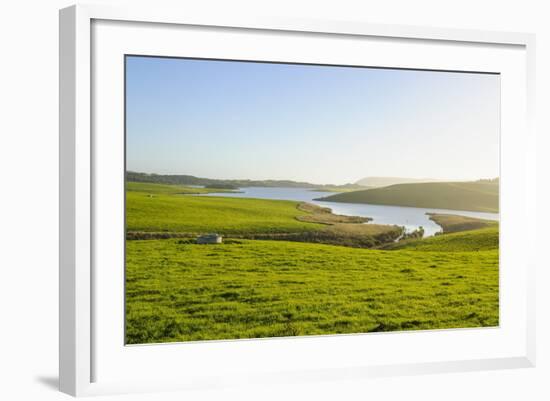 Little Lake in Green Fields, the Catlins, South Island, New Zealand, Pacific-Michael-Framed Photographic Print